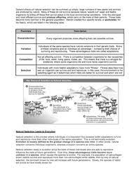 The very greatest thing regarding these darwin's natural selection worksheet answers is they can even be used by teachers. Worksheet Evolution Darwin S Journey Natural Selection Distance Learning