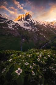 We did not find results for: Alaska Is One Of The Most Beautiful Places In The World And My Favorite Because Of An Abundance Of Views Just Like This One Chugach National Forest Ak Oc 1333x2000 Mattymeis Earthporn