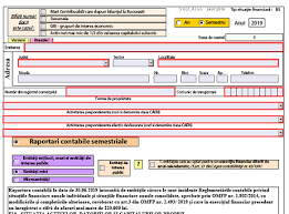 Raportari contabile semestrul i 2019. BilanÈ› 30 06 2019 A ApÄƒrut Pdf Ul Inteligent Anaf Necesar GenerÄƒrii Formularelor Valabil Din 24 07 2019 Cabinetexpert Ro Blog Contabilitate