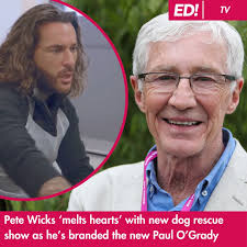 For Dogs' Sake has gone down a storm ❤️ Pete Wicks, who said dogs were  "central" to his life, helped staff at Dogs Trust Basildon Pete branded the  new Paul O'Grady as