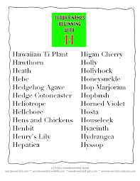 Wonderweirded Dictionary Of Flower Beginning With H Flower Names Common Plant Names Beginning With Letter H With Fre Flower Names Lettering Flower Printable