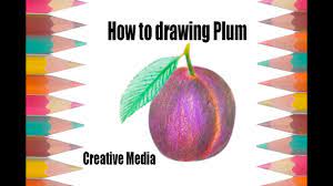 Please see the drawing tutorial in the video below. How To Drawing A Plum Step By Step Drawing Youtube