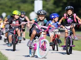 Second, animal crossing is a game in which the plot is of little importance. Cycling Tauranga City Council