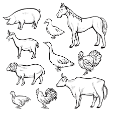 Top 10 children who grew up with animals in the wild!subscribe to our channel: 20 807 Line Drawing Dog Stock Photos And Images 123rf