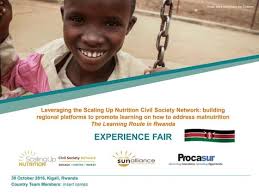 Curbing global sugar consumption