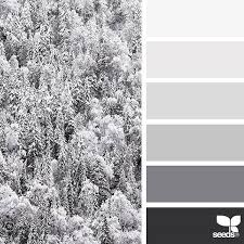 Aesthetic Black And White Color Palette Succulent Hues Liked On Polyvore Featuring Backgrounds Design Seeds Aesthetic Filler Borders And Picture Design Seeds Seeds Color Christmas Color Palette