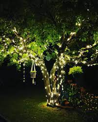 Pam Wright On Instagram Me And A Friend Put Some Fairy Lights In My Devine Pear Tree Omg I Love Fairy Lights Garden Fairy Lights In Trees Fairy Lights Decor