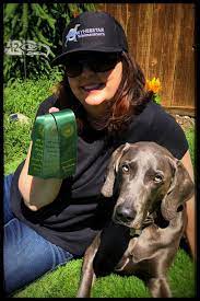 Check spelling or type a new query. Dog Clubs Owyheestar Weimaraner S News