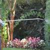 We are a professional wildlife removal company servicing fort lauderdale florida. Do It Yourself Pest Control In Fort Lauderdale Fl With Reviews Yp Com