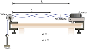 Waves On A String