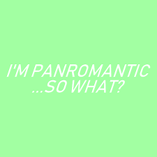 Pin On Pansexual Queer