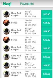 1.5 final thoughts on wag dog walking (sitting and boarding) for pay Wag App Review My Experience As An On Demand Dog Walker Financial Panther