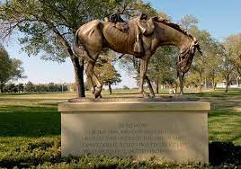 Over 1.5 million horses and mules died from the war. Horses And Mules Stones River National Battlefield U S National Park Service