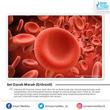 Mencakup semua bahan yang berasal dari jaringan tanaman dan hewan, baik yang hidup maupun yg terdiri atas fraksi asam humat, asam fulfat dan humin. Berikut 4 Komponen Dan Fungsi Darah Bagi Tubuh Manusia
