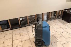 Drying out your basement after a flood might feel like a daunting task that will take weeks, but don. Pin On The Cleanup Guys