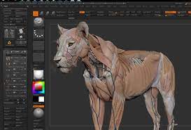 Since the first season, many characters have left the show or have been written out, and new main characters have been written in and out of the series. Lion Anatomy Tool For Artists Flippednormals