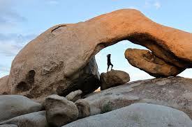11 Amazing Things to Do in Joshua Tree National Park