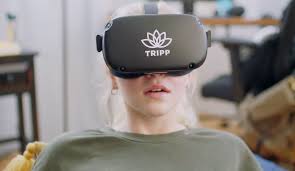 Full 360 immersive virtual reality, 18 images to view, an interactive map to jump to different locations and animated scenes depicting the cataclysmic eruption of mount mazama and the creation of the caldera we see today. Psychedelic Vr Meditation Startup Tripp Raises 11 Million Series A Techcrunch