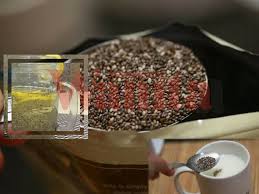 Namun, bagaimanakah cara memilih chia seed yang berkualitas?kali ini, kami akan menjelaskan cara memilih sekaligus merekomendasikan sepuluh produk chia seed terbaik. Nak Makan Chia Seed Di Bulan Puasa Tak Ada Masalah Tapi Pastikan Ikut Sukatan Yang Betul Mingguan Wanita