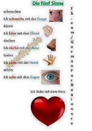 Vrei sa mergem la un film? Sa Traducem Din Romana In Germana Die Funf Sinne Cele 5 SimÈuri 1 Schmecken A Gusta Degusta Ich Schmecke Mit Der Zunge Eu Simt Gustul Cu Limba 1 1cuvinte