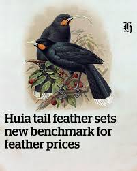 World'S Most Expensive Feather Sold At Auction In New Zealand - Trending  News