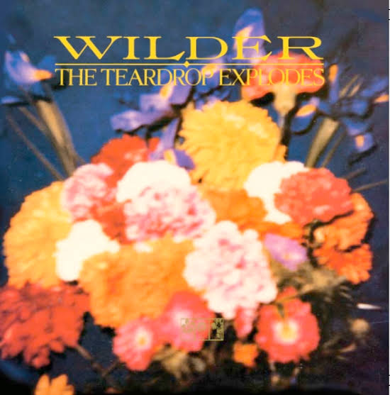 The Teardrop Explodes - Wilder (reissue) - God Is In The TV