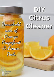 Maybe you would like to learn more about one of these? Diy Citrus Cleaner Joybilee Farm Diy Herbs Gardening