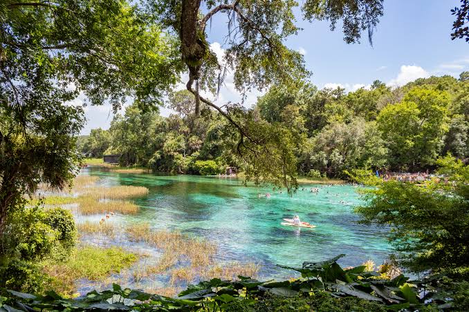 Rainbow Springs State Park, Florida - The Walking Mermaid | Family Travel  Blog