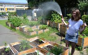 Ein Dach Fur Unsere Tomaten Gemeinschaftsgarten Westgarten In Dormund Immer Mal Was Neues Dach Tomaten Garten