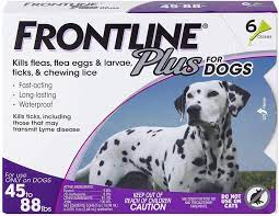 Heartworm medication for dogs considerations. The 7 Best Flea And Tick Prevention Products For Dogs In 2021