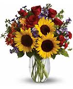 We always go the extra mile to make your floral gift perfect. Flowers To Chula Vista California Ca Retirement Group Homes Assisted Living And Adult Care Homes Same Day Delivery By A Local Florist In Chula Vista