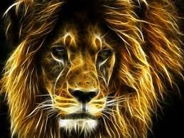 Neon animals wallpaper, it is incredibly beautiful and stylish wallpaper for your android device! What Does Your Spirit Animal Say About You Lion Hd Wallpaper Animal Wallpaper Animal Posters