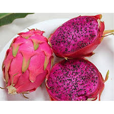 Webmd's intestines anatomy page provides a detailed image and definition of the intestines. Dragon Fruit At Rs 350 Kg Ajni Square Nagpur Id 19990804262