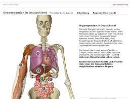 Transplantation Diese Organe Kann Man Spenden Der Spiegel
