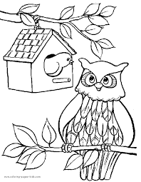 Bird with wings coloring page. Owl And A Birds Nest Color Page