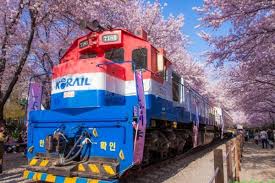 Ada beberapa jenis visa tinggal yang bisa chingu apply sesuai dengan kebutuhan. Selain Seoul 6 Kota Kece Di Korea Selatan Ini Juga Wajib Dikunjungi