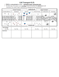 Google Drive Viewer Biology Lessons Cell Transport Cell Theory