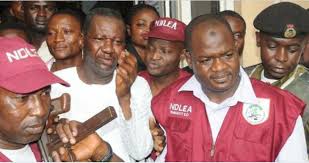 Image result for NDLEA
