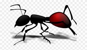 High resolution raster & vector file formats: Ants Clipart Vector Png Ant Body Part Worksheet Transparent Png 640x480 1603356 Pngfind