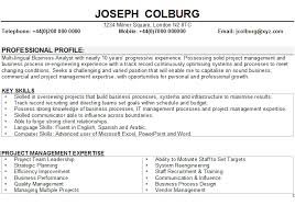 Find professional cv/ cv samples for team leaders. Interim Manager Cv Template Resume Skills Business Analyst Resume Resume Examples