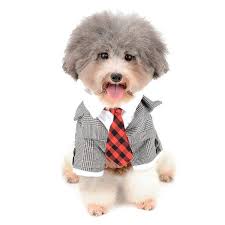 Hochzeit Mit Hund Mit Diesem Haustier Kostum Auf Jeden Fall Witziger Anzug Fur Kleine Hunde Perfekt Fur Eine Ho Hemd Mit Krawatte Kleine Hunde Hunde Outfits