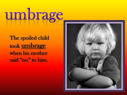 An example of umbrage is what you feel when someone asks you a question that you find to be presumptuous, offensive and annoying, you take umbrage with their question. Definition Offense Annoyance Displeasure Ppt Download