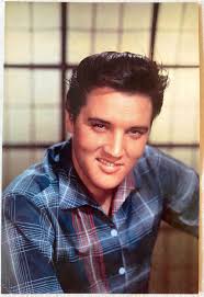 ELVIS PRESLEY Collectors Postcard American Postcard Company Issue Great  Shape