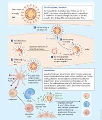 Maybe you would like to learn more about one of these? Lichtblick Mrna Impfstoffe