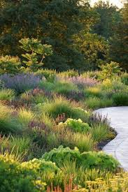 Landscaping With Ornamental Grasses The Happy Housie Landscape Design Landscape Projects Dream Landscape