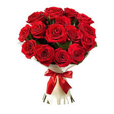 Decoration Red Rose Bouquet At Rs 120 Pack À¤ À¤² À¤¬ À¤ À¤ À¤²à¤¦à¤¸ À¤¤ À¤° À¤ À¤¬ À¤ M V S Flora Hosur Id 21798283755 The hottest images and pictures of rose byrne are sure to catch your attention. decoration red rose bouquet