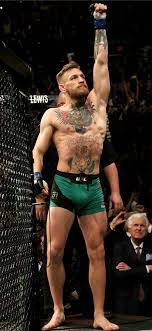 Download and use 40 conor mcgregor wallpapers for free. Best Conor Mcgregor Iphone 11 Hd Wallpapers Ilikewallpaper