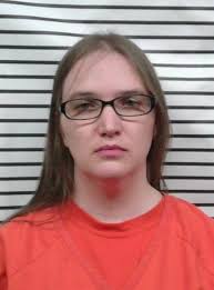 Mtn. View couple charged with 'wantonly vile' crimes against child