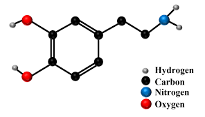 Image result for Dopamine
