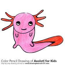 Learning how to draw is easier than you think. Learn How To Draw An Axolotl For Kids Animals For Kids Step By Step Drawing Tutorials